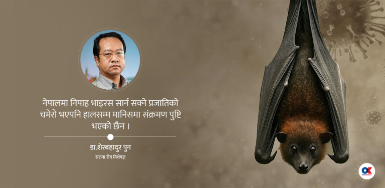 भारतका स्वास्थ्यकर्मीमा निपाह भाइरस संक्रमण, नेपाल कति सुरक्षित ?