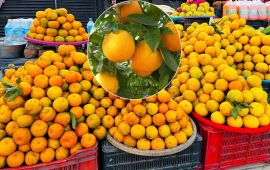 जुनारले दिंदैछ सिन्धुलीलाई नयाँ पहिचान