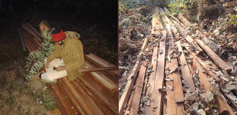 कैलालीमा ६ सय क्युफिट अवैध काठ बरामद