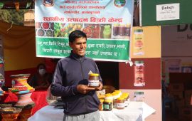 विदेशमा हन्डर खाएर गाउँ फर्किएका लोकबहादुरको मौरी मोह