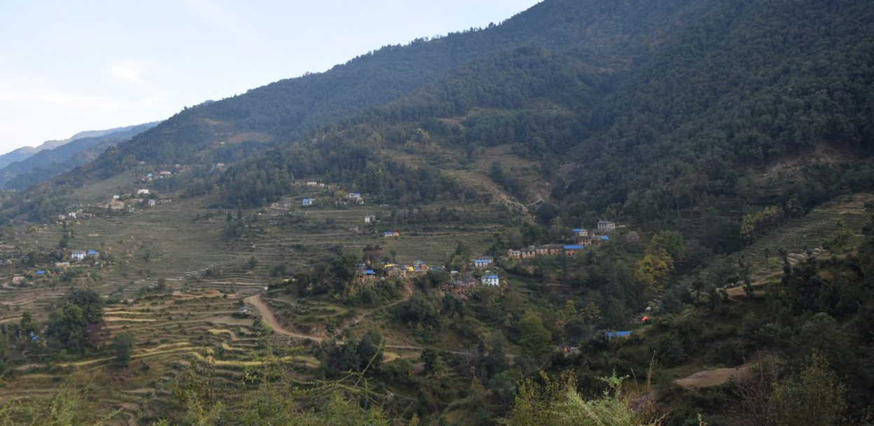 मध्यवर्ती क्षेत्रमा पशुचौपाया जोगाउनै मुस्किल