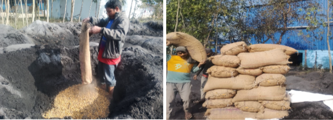 बाँकेको ‘डल्फिन फिड्स’ मा भेटिएको साढे २ टन अखाद्य मकै नष्ट