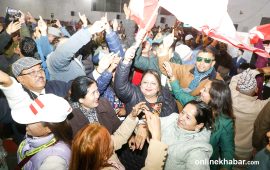 कांग्रेस विशेष महाधिवेशन : भृकुटीमण्डपमा नाचगान (तस्वीरहरू)