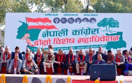 कांग्रेस विशेष महाधिवेशन पक्षधर केन्द्रीय कार्यसमिति बैठकमा नजाने