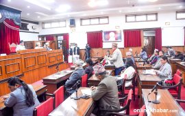 राष्ट्रिय सभाको बैठक जारी (तस्वीरहरू)