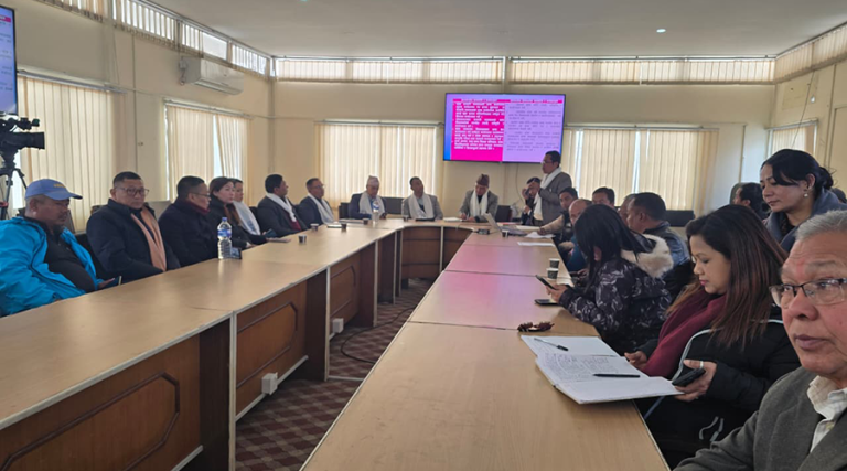 ‘सरकारी कामकाजमा मातृभाषा कार्यान्वयनमा नीतिगत तथा व्यावहारिक जटिलता’