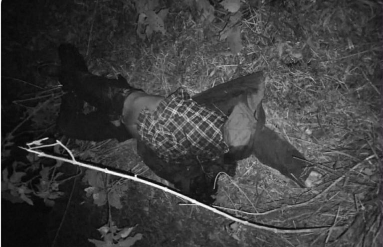 गाउँकै काठ तस्करले वन चौकीदारको हत्या गरेको खुलासा