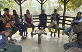 गाउँपालिका अध्यक्षकै अगुवाइमा रुख कटान गरिएको आरोप