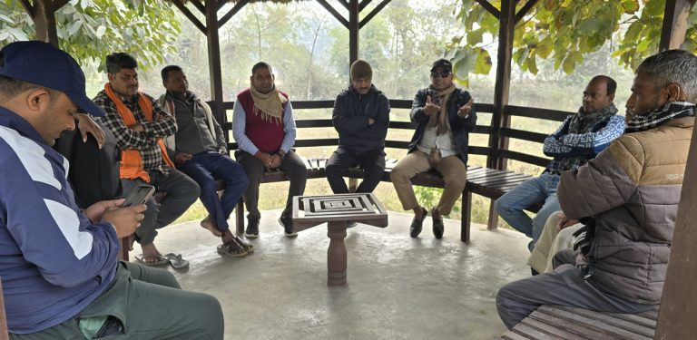 गाउँपालिका अध्यक्षकै अगुवाइमा रुख कटान गरिएको आरोप