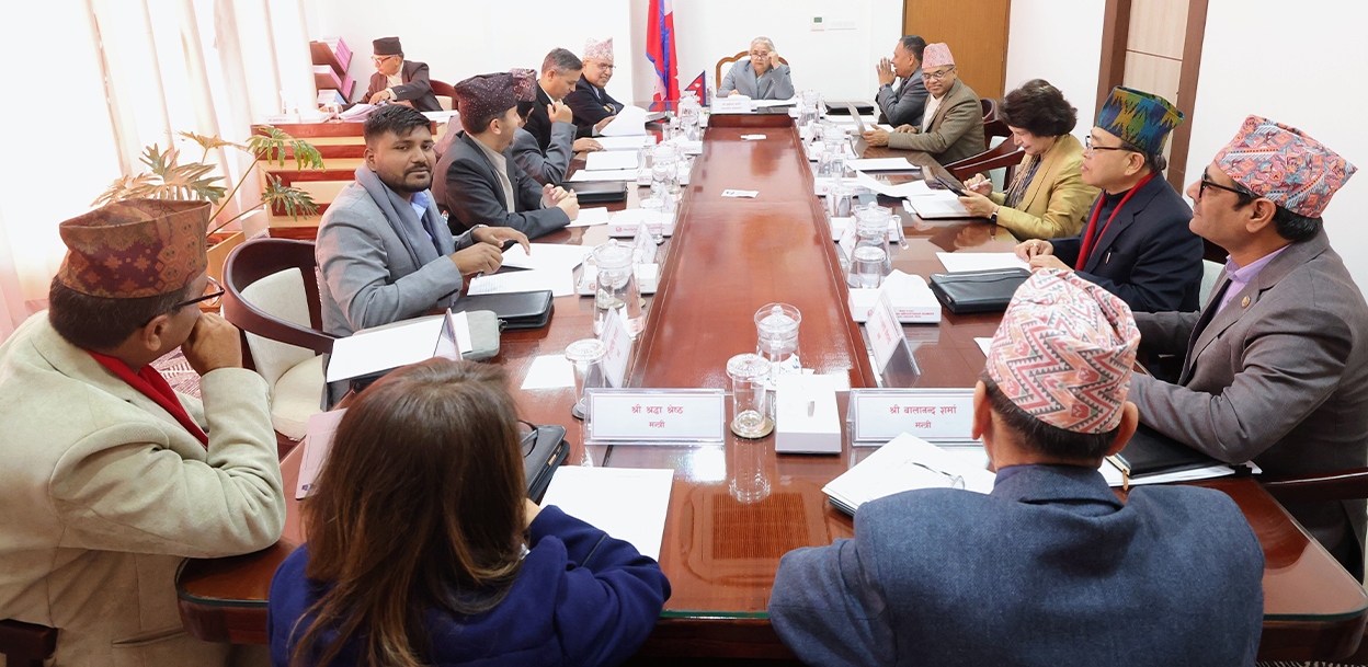 मन्त्रिपरिषद्‌मा प्रधानमन्त्रीको निर्देशन- राजनीतिमा लाग्नेले तत्काल मन्त्री छोड्नुहोस्