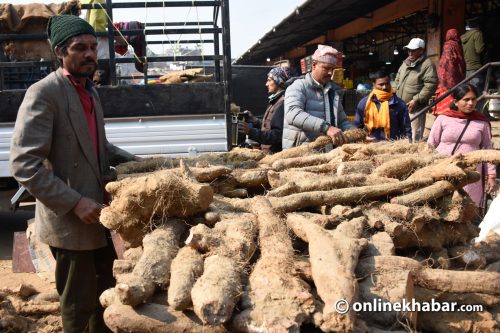 माघे सङ्क्रान्ति : कालीमाटीमा २२ लाख किलो कन्दमूल भित्रियो, स्वदेशी उत्पादनकै वर्चस्व