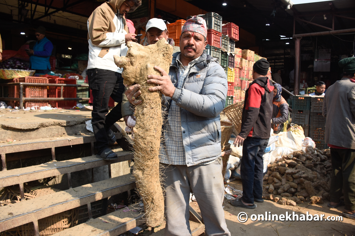 माघे संक्रान्ति नजिकिएसँगै बढ्यो तरुलको कारोबार (तस्वीरहरू)
