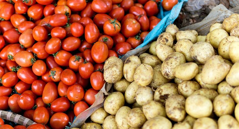 के हो आलु र गोलभेँडाको नाता ? वैज्ञानिकले पत्ता लगाए यस्तो तथ्य