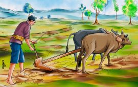 २०७९ निर्वाचन : कुन दराजमा थन्किए भोट तान्ने ‘कृषि अस्त्र’ ? 