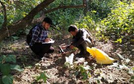 बढ्दो जलवायु संकट, कमजोर दलहरूको प्रतिबद्धता