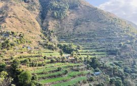 छिपखोलाको दुर्लभ राजनीतिक धैर्यता : कम्युन छुट्यो, विचार छुटेन