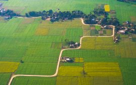 सुदूरपश्चिमको सुनौलो यात्रा (फोटो फिचर)