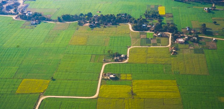 सुदूरपश्चिमको सुनौलो यात्रा (फोटो फिचर)