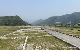 घरजग्गा कारोबारबाट गत माघमा ५ अर्ब राजस्व संकलन