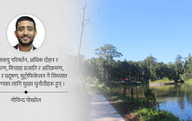 नेपालका सिमसारको बिग्रँदो स्वास्थ्य