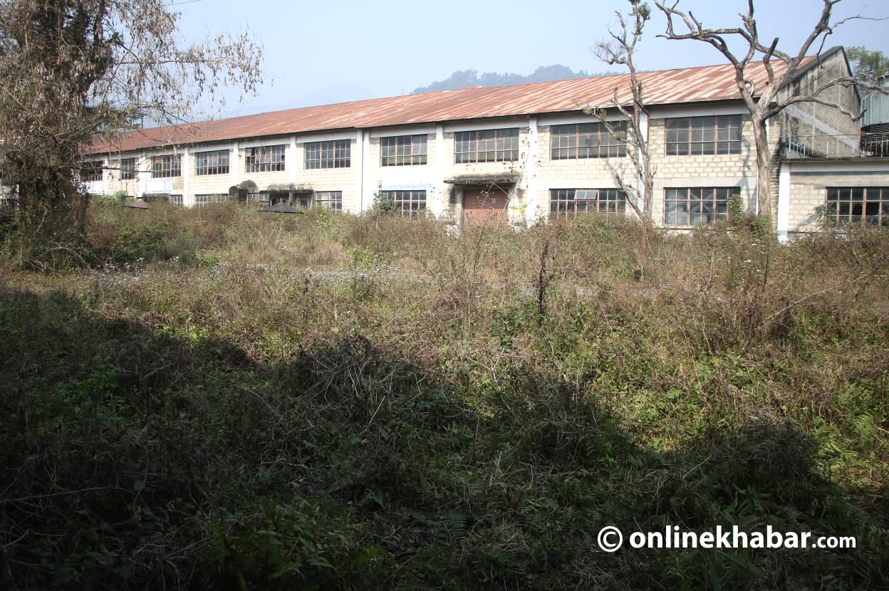 रबर उद्योग चलाउँछौं भन्नेलाई नै मुद्दा हालिदिउँजस्तो लाग्छ !