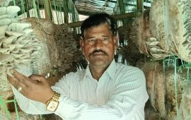 २० रुपैयाँले जगाएको सपना, बन्यो करोडको व्यवसाय