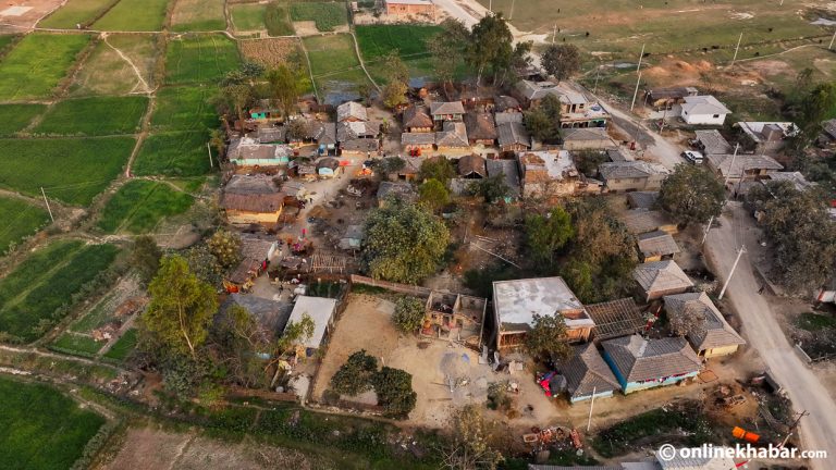 नेताको भोट बैंक : फ्लडलाइटको उज्यालो मुनि अन्धकार मुसहर बस्ती