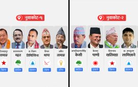 नुवाकोटको चुनावी परिदृश्य : हेभिवेटले छाडेको मैदानमा घटेको छैन रौनक