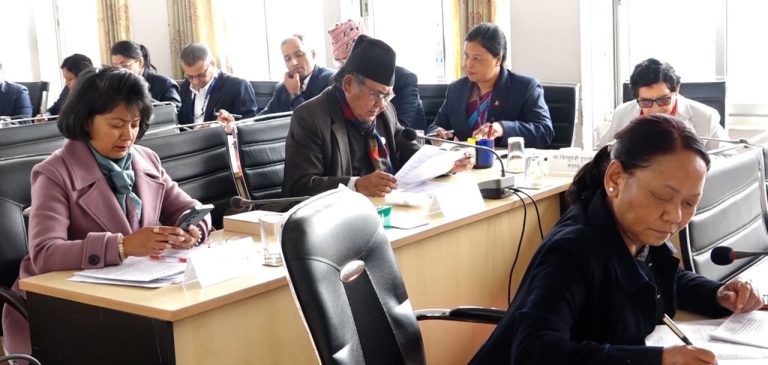 अभौतिक सांस्कृतिक सम्पदा विधेयकको नाम फेर्न सुझाव