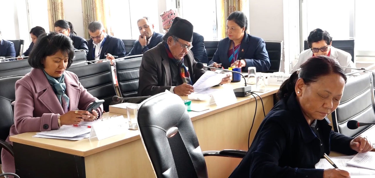 अभौतिक सांस्कृतिक सम्पदा विधेयकको नाम फेर्न सुझाव