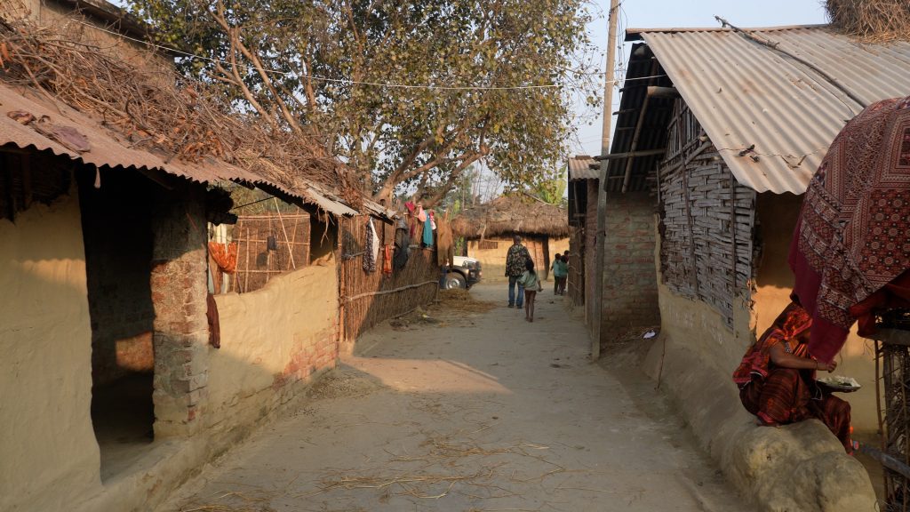 मुसहर बस्तीमा न व्यवस्थित घर, न शौचालय