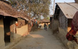 मुसहर बस्तीमा व्यवस्थित घर न शौचालय