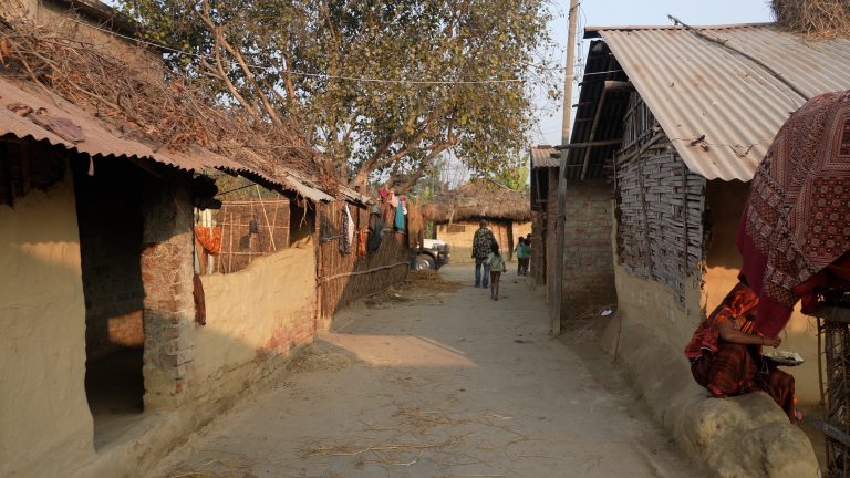 मुसहर बस्तीमा न व्यवस्थित घर, न शौचालय