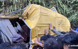 बागलुङमा स्कुल भ्यान दुर्घटना हुँदा २४ बालबालिका घाइते
