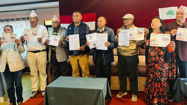 स्याङ्जालाई नमूना बनाउने भन्दै कांग्रेस उम्मेदवारले सार्वजनिक गरे संकल्प पत्र