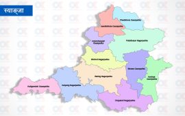 स्याङ्जामा घट्यो वन डढेलो, यस वर्ष क्षति न्यून