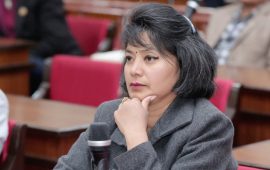 राष्ट्रिय निकुञ्जसम्बन्धी विद्यमान ऐन संशोधन गर्न सरकारसँग माग