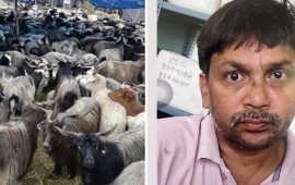 २० मुद्दा लागेका कुख्यात चोर मुन्ना फकिर : च्याङ्ग्रा बोकेको ट्रक नै लुट्थे