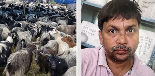 २० मुद्दा लागेका कुख्यात चोर मुन्ना फकिर : च्याङ्ग्रा बोकेको ट्रक नै लुट्थे