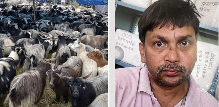 २० मुद्दा लागेका कुख्यात चोर मुन्ना फकिर : च्याङ्ग्रा बोकेको ट्रक नै लुट्थे