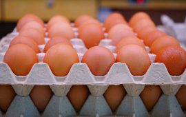 अन्डाको भाउ घट्यो, प्रतिक्रेट कति ?