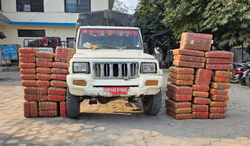 मकवानपुरमा जिपबाट ४३८ केजी गाँजा बरामद, २ जना पक्राउ