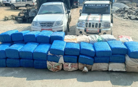 ९५५ किलो गाँजासहित दुई जना पक्राउ