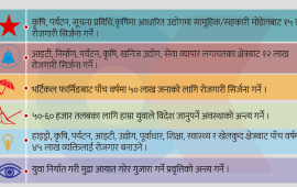 दलका चुनावी प्रतिबद्धता : पाँच वर्षमा ५० लाखसम्म रोजगारी सिर्जना