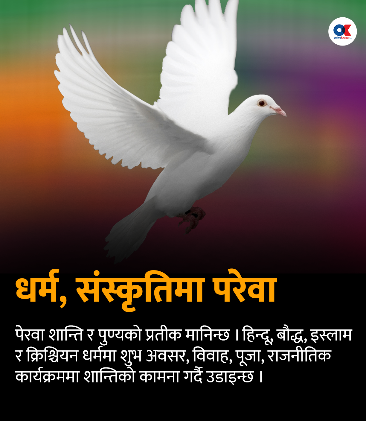 परेवा : प्राचीन ‘म्यासेन्जर’देखि शान्तिको प्रतीकसम्म परेवा : प्राचीन ‘म्यासेन्जर’देखि शान्तिको प्रतीकसम्म