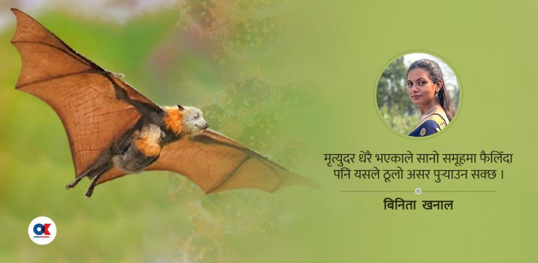 नेपालको दैलोमा निपा भाइरस