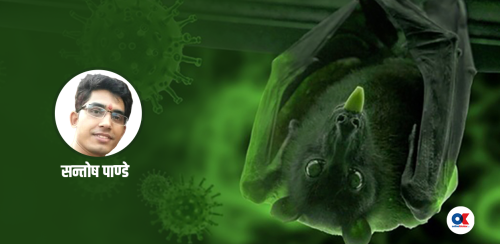 निपाह भाइरस नियन्त्रणका लागि ‘वान हेल्थ’ रणनीति