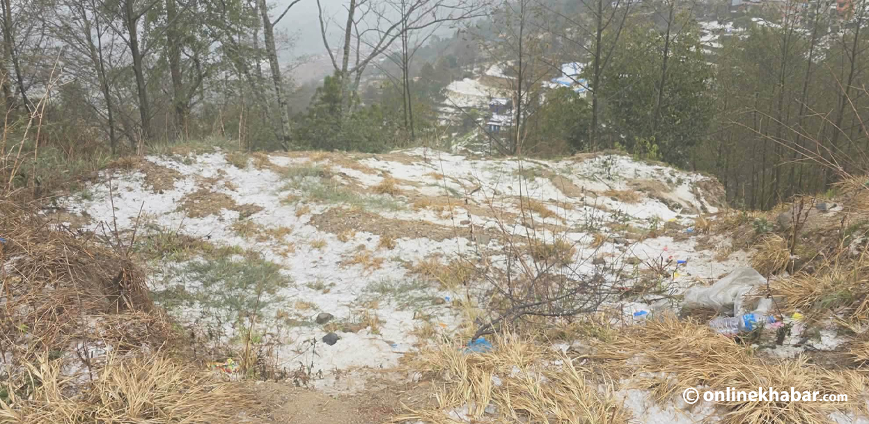 जहरसिंह पौवामा भारी असिना पानी (तस्वीरहरू)