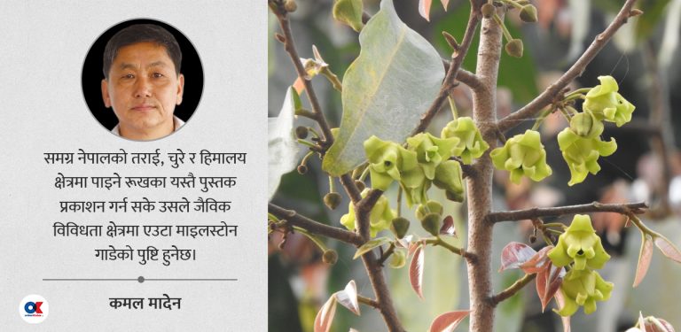 जलथलको जैविक धरोहर : ठेकीफल अझै मनग्गे