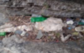 कालीगण्डकी किनारमा भेटिएको कंकालको अझै खुलेन पहिचान 